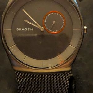 Skagen havene Grey matte men's mesh watchGrey titanium case with a stainless st